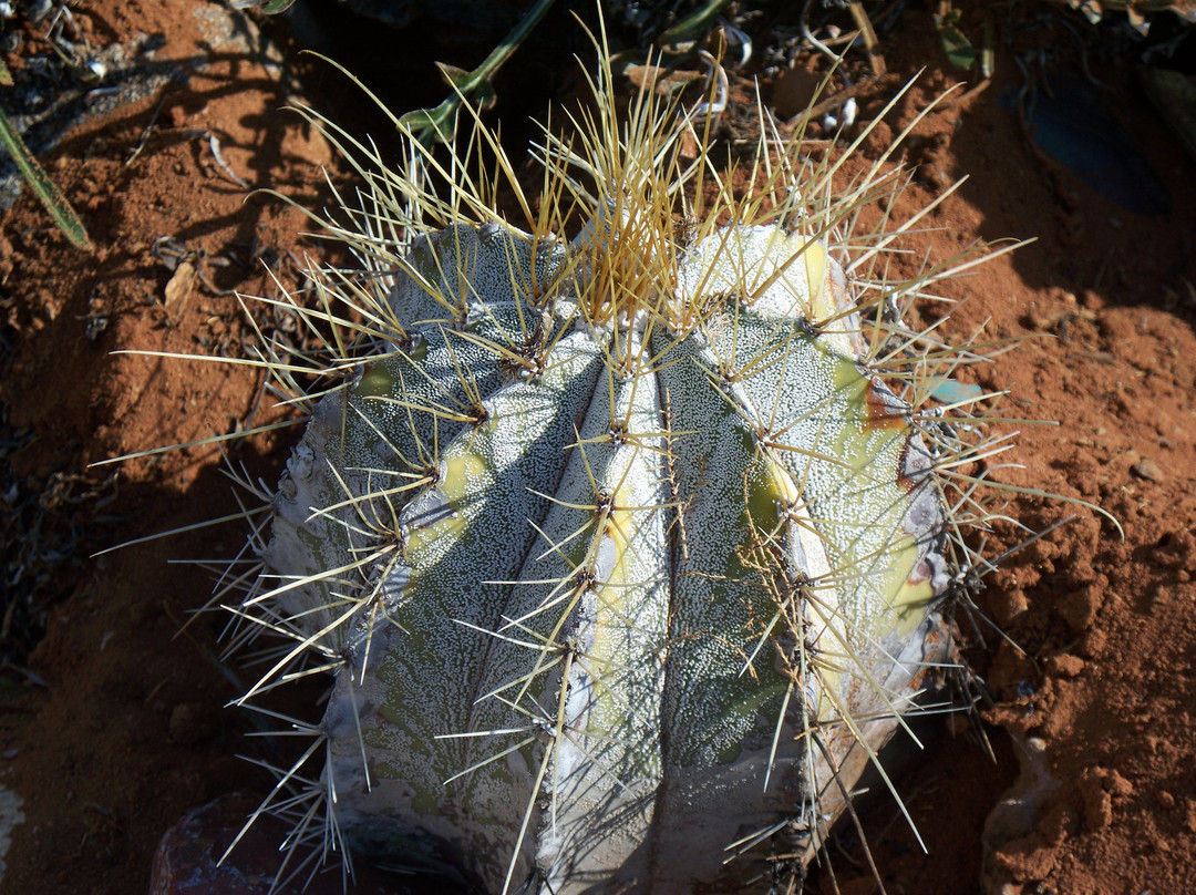 里希特斯韦特国家公园-北开普省必去景点