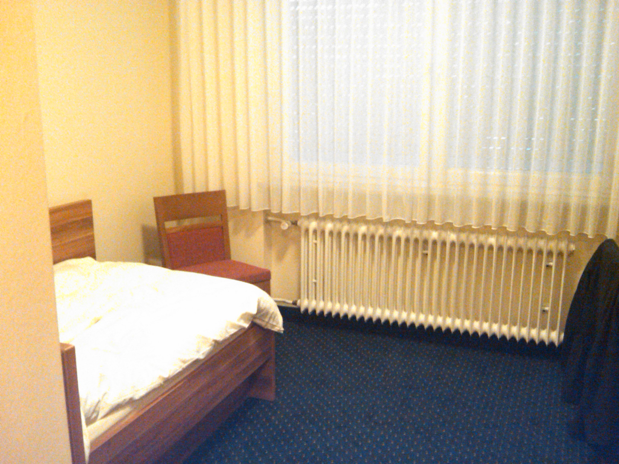 Hotel-Gasthof Rotes Ross-客卧