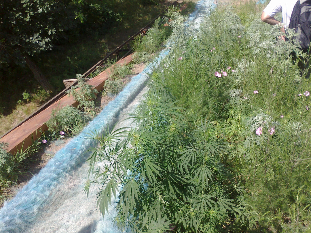 大青沟生态旅游区-科尔沁左翼后旗必去景点