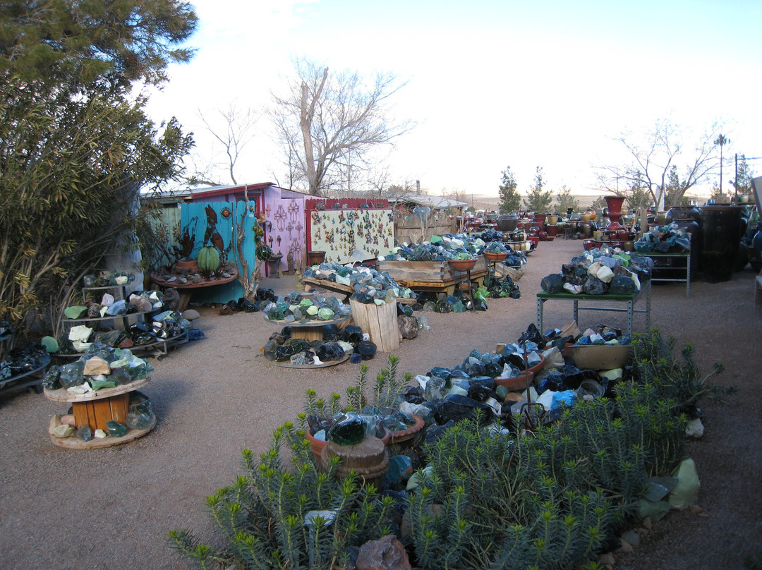 Cactus Joe's Blue Diamond Nursery-拉斯维加斯必去景点