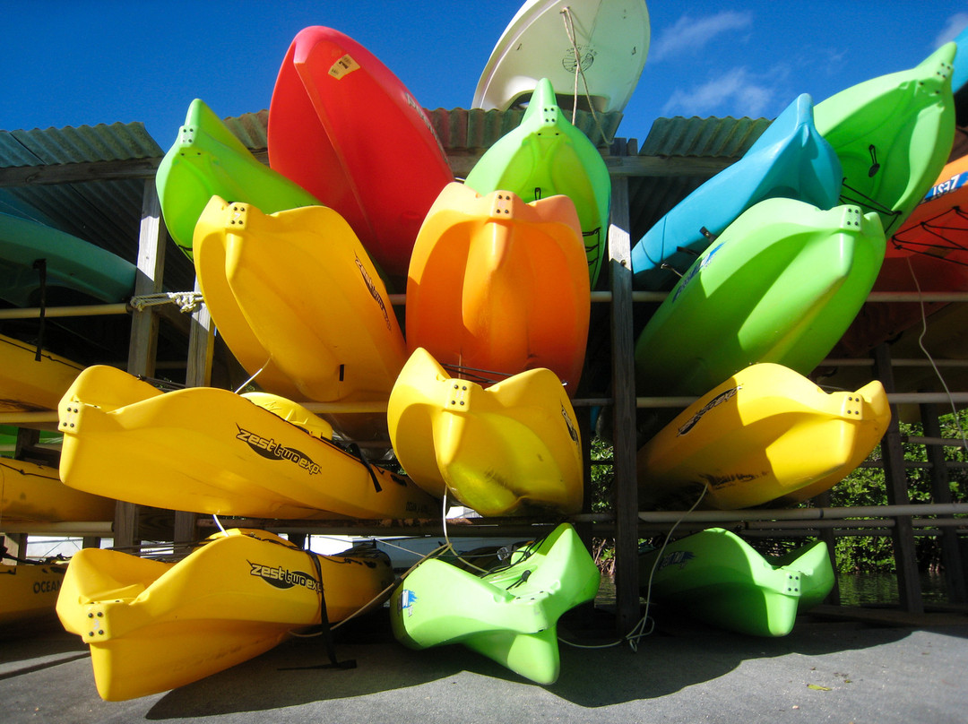 Virgin Islands Ecotours-夏洛特阿马利亚必去景点