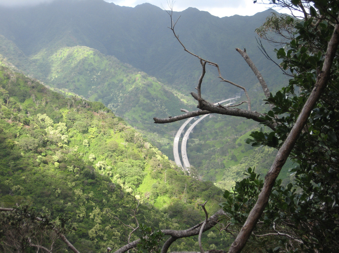 Aiea Loop Trail-阿伊亚必去景点