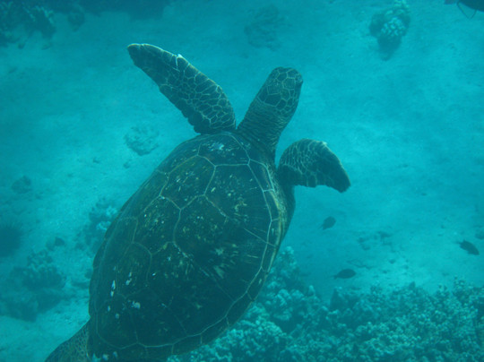 Aqua Adventures-怀露库必去景点