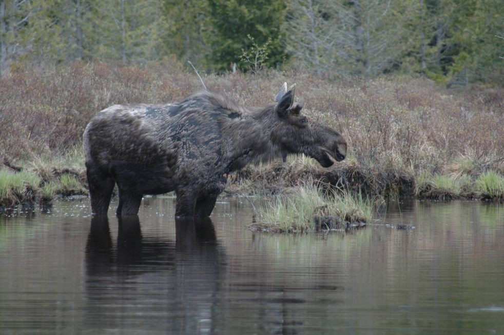 Northwoods Outfitters-Greenville必去景点