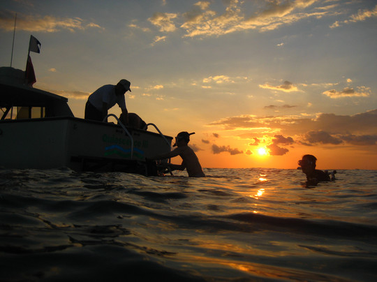 Quiescence Diving Services-拉哥岛必去景点