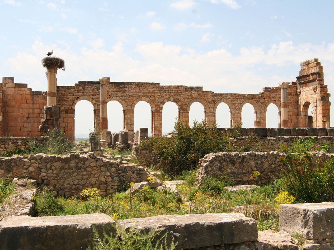 沃吕比利斯-梅克内斯-塔菲拉勒特区必去景点