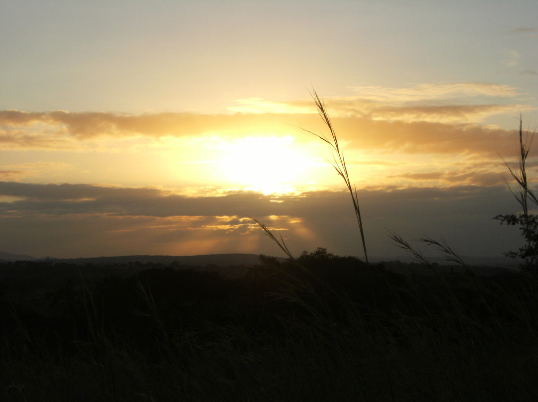 Heritage Tours & Safaris-圣露西亚必去景点