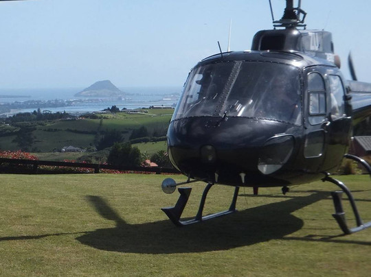 Tauranga Lodge主图