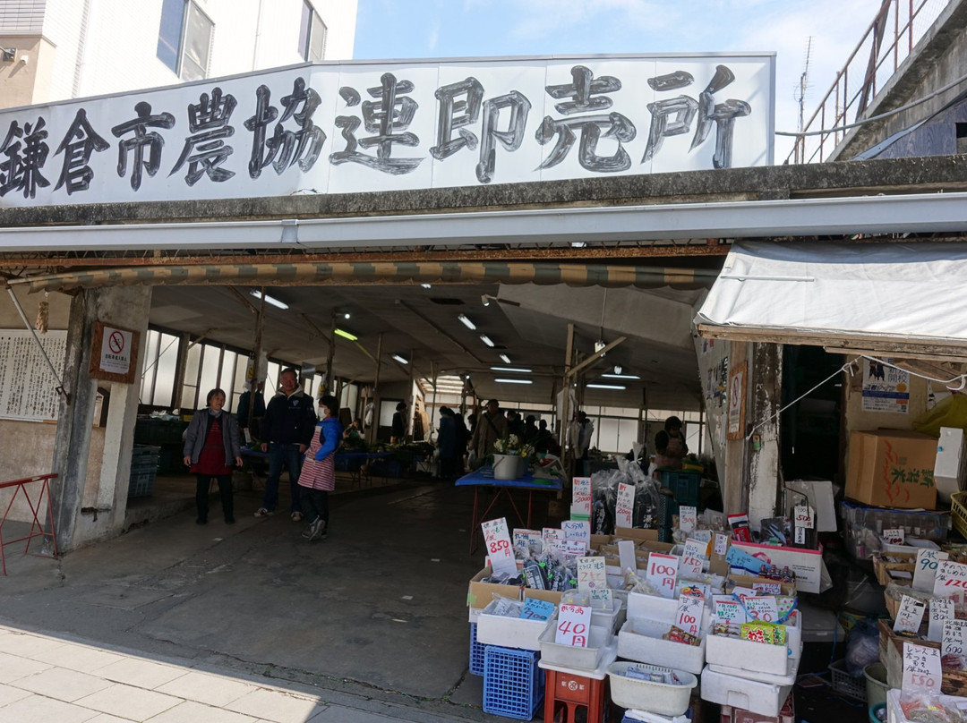 Kamakura City Farmers' Market-镰仓市必去景点