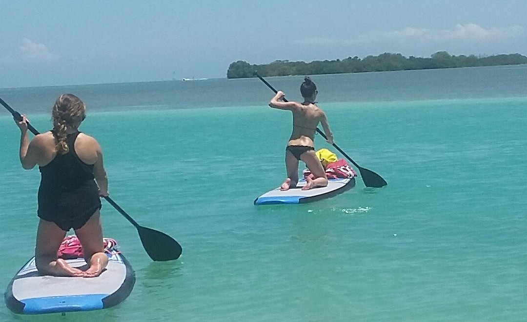 Beach Bum Paddle Sports景点图片
