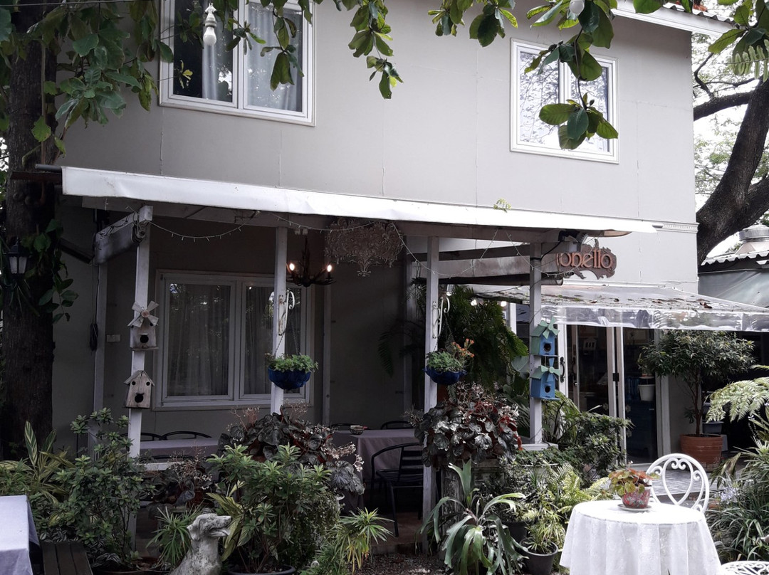 ร้านเบเกอรี่ พอร์โทเบลโลแอนด์ดีไซร์