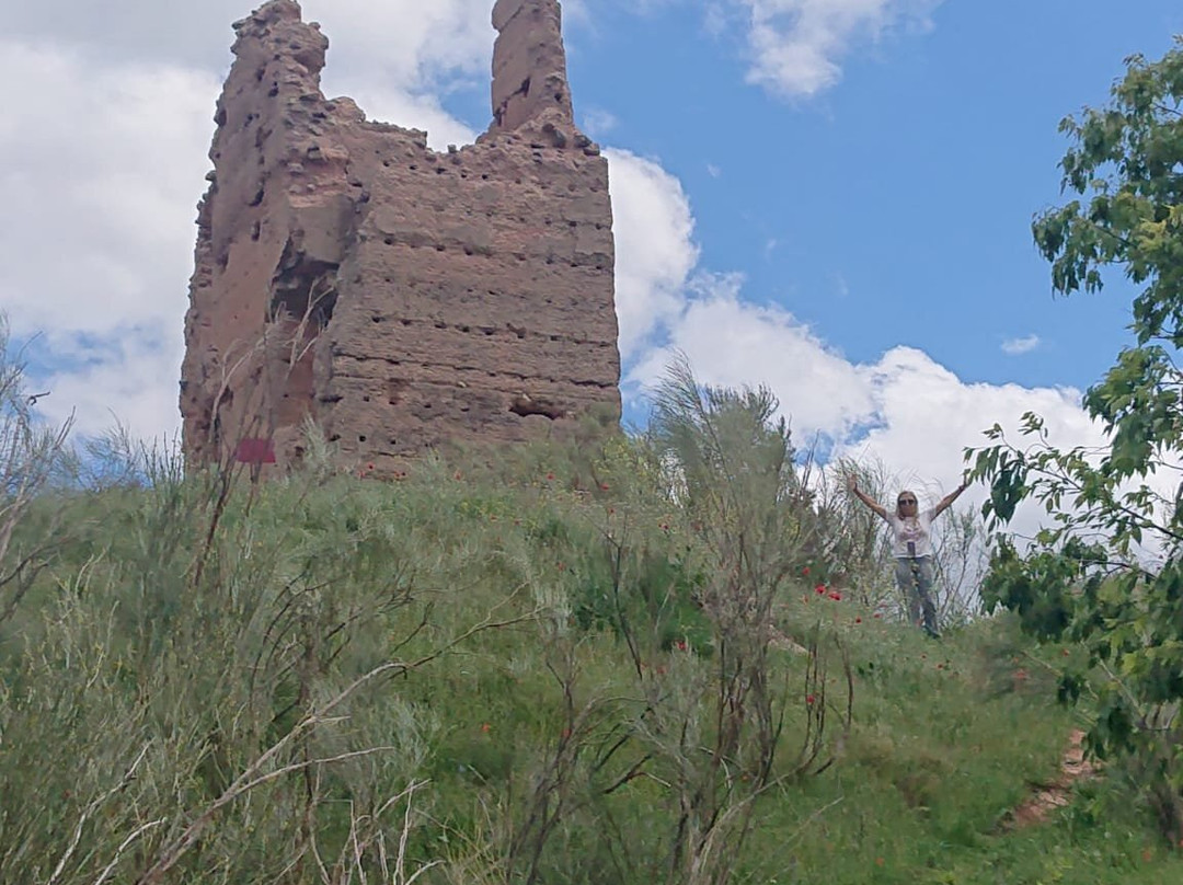 Torre De Hache景点图片
