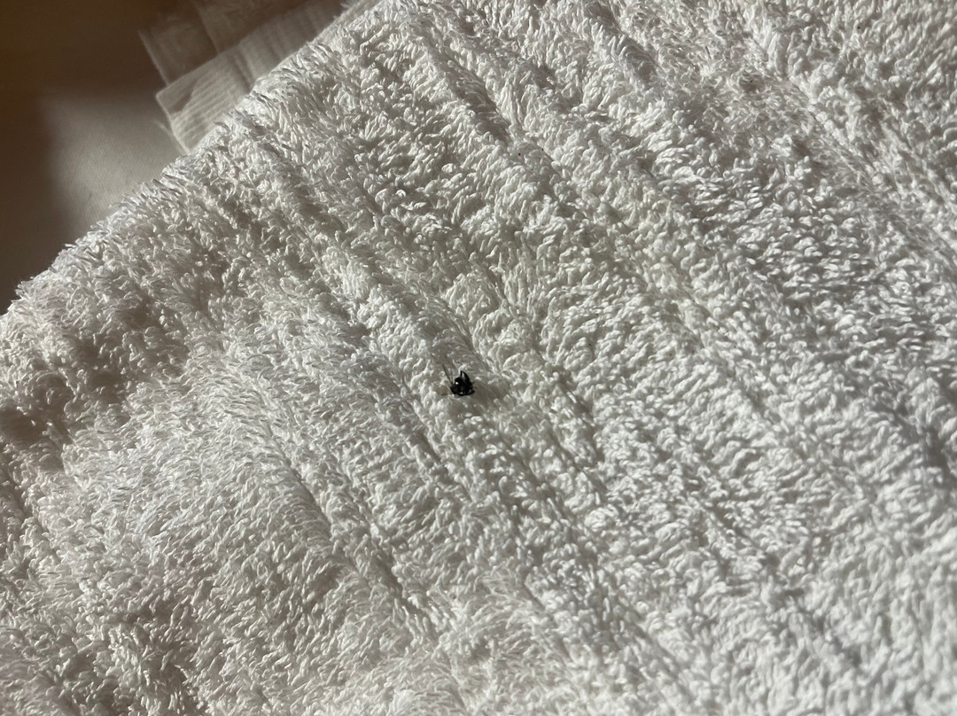 莎丽拉岛度假村主图