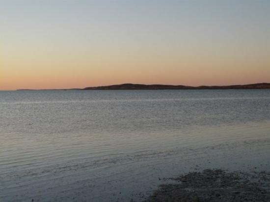 鲨鱼湾-德纳姆必去景点