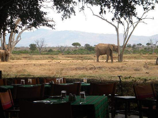 Donamasai Kenya Tours-马林地必去景点