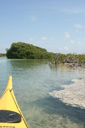 Big Blue Collective-普罗维登西亚莱斯必去景点