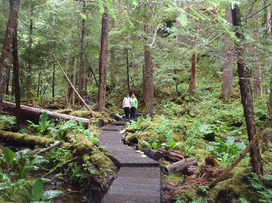 Herring Cove Trail-锡特卡必去景点