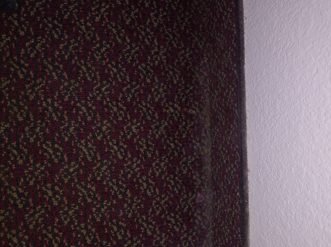 WoodSpring Suites Chesapeake-Norfolk South主图