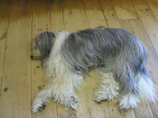 F.H. Clothing Co.-Quechee必去景点