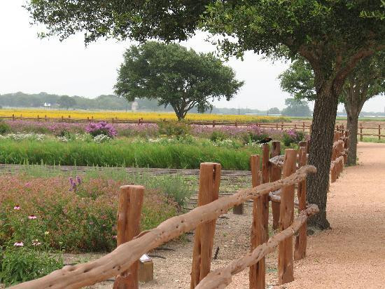 Wildseed Farms-弗雷德里克斯堡必去景点