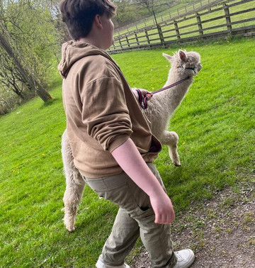 Oakmere Alpacas-Oakmere必去景点