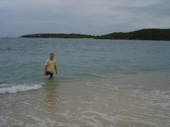 Abe's Snorkeling and BioBay Tours景点图片