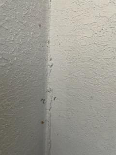 Sleep Inn Beaufort主图