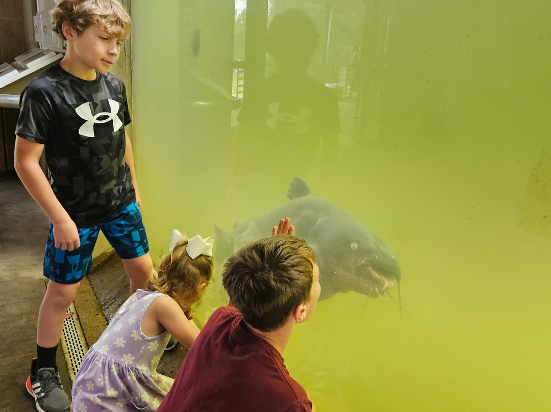 Texas Freshwater Fisheries Center-Athens必去景点