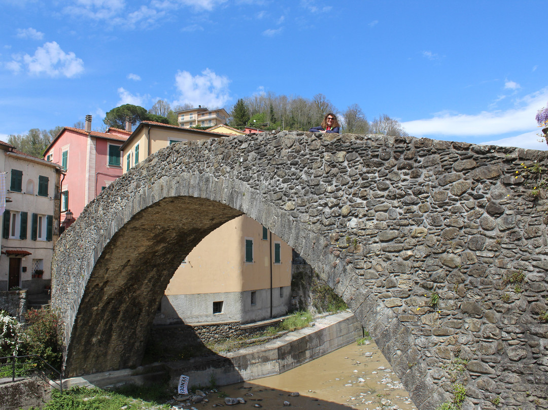 Ponte di Grecino (Grexino)景点图片