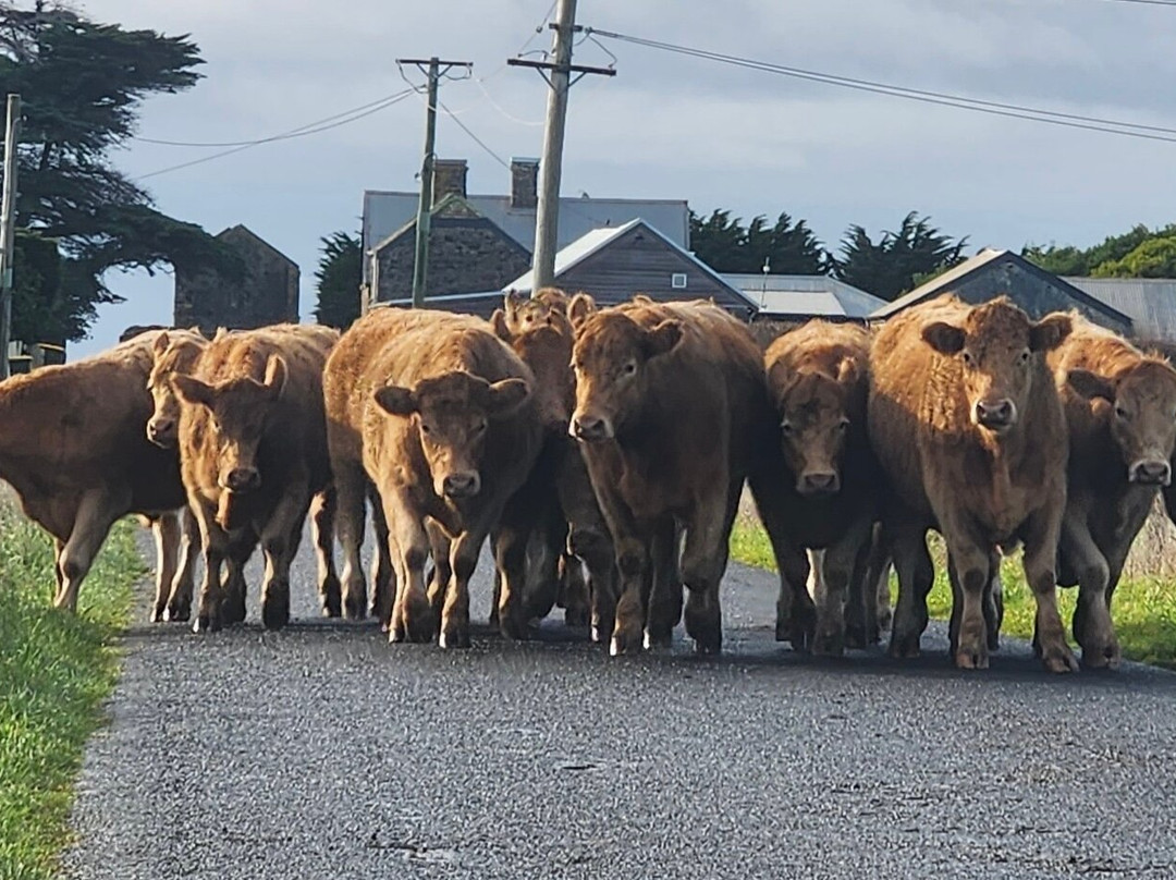 心城市公寓酒店主图