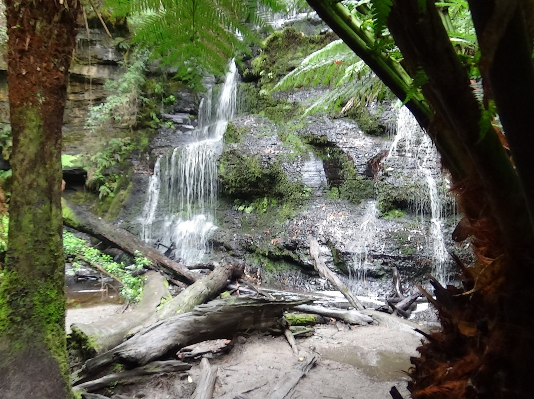 Henderson Falls-洛恩必去景点
