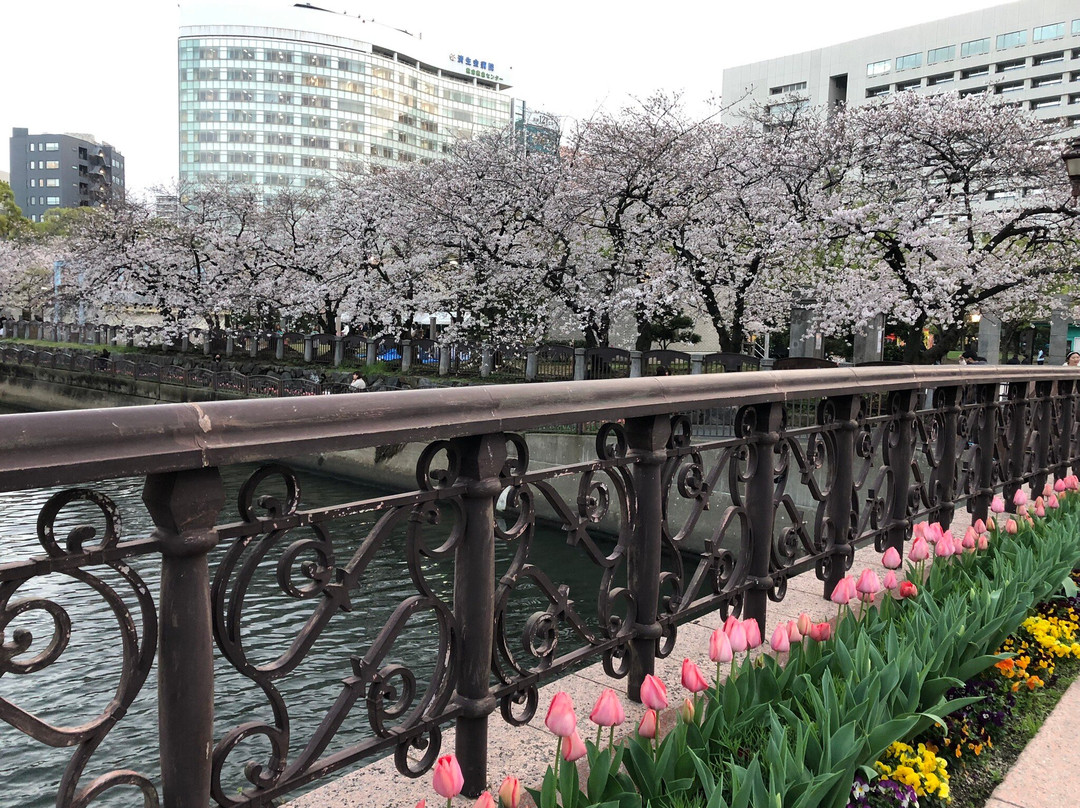 Tenjin Central Park景点图片