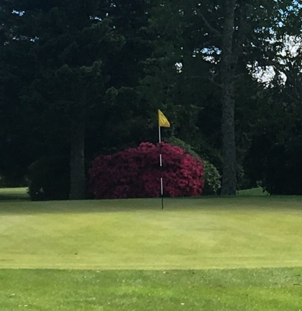 Turangi Golf Club景点图片