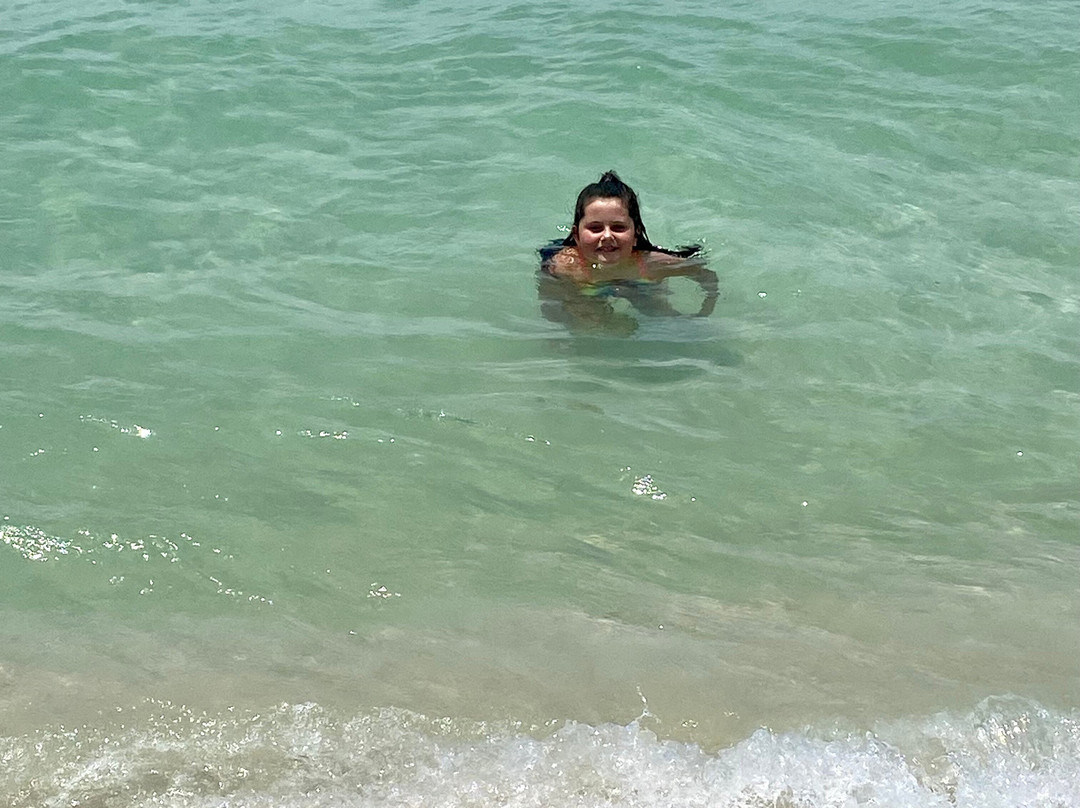 Osprey on the Gulf主图