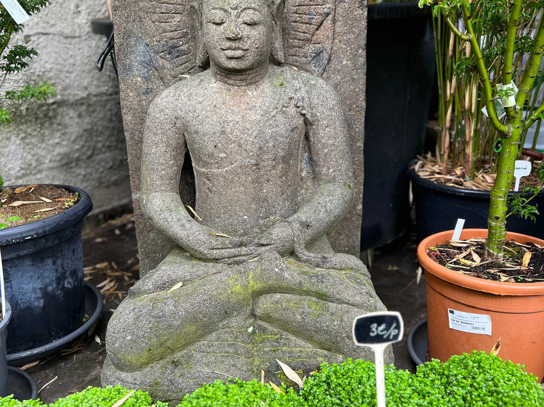 Lil'o Bambous景点图片