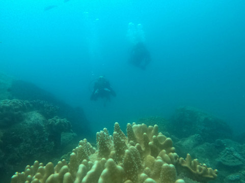 Dive For You-尼拉瓦利必去景点