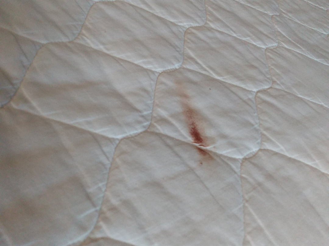 克洛弗代尔速8酒店主图