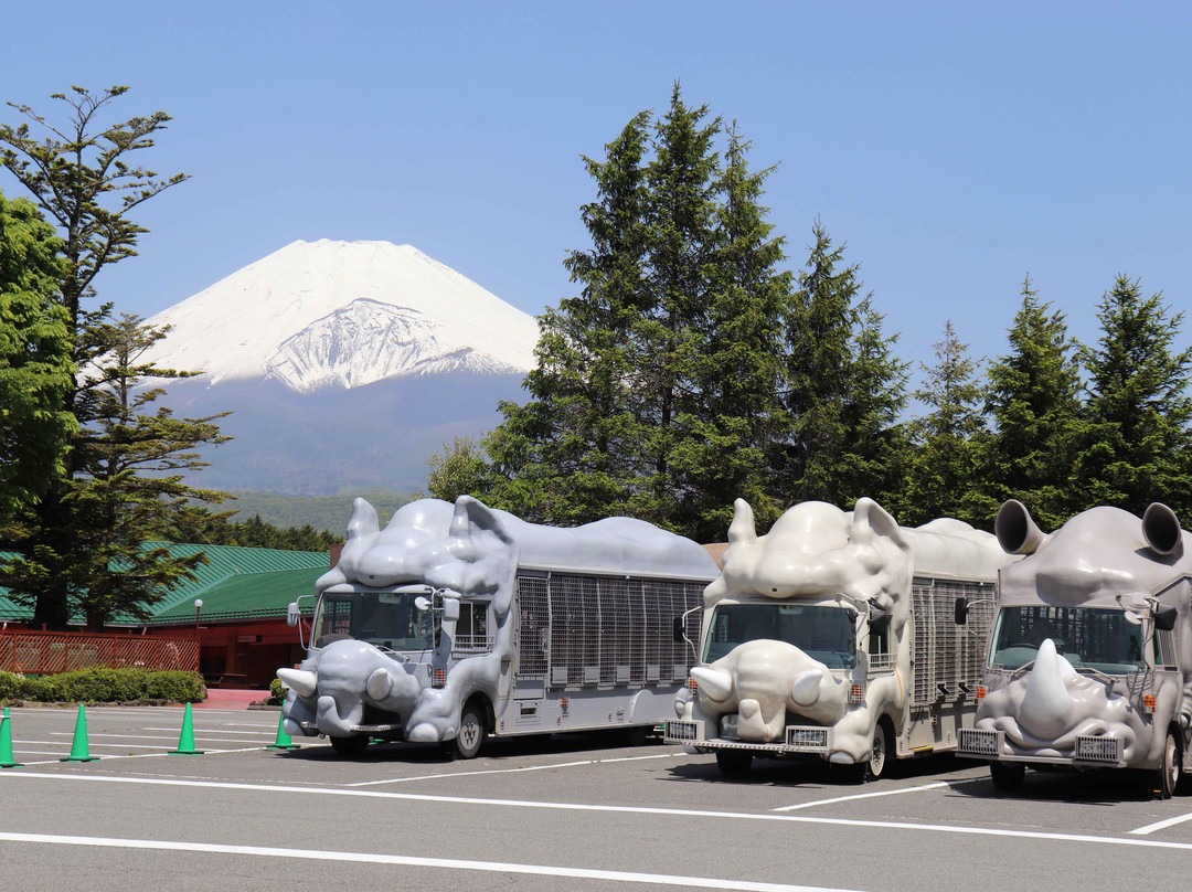 Fuji Safari Park-裾野市必去景点