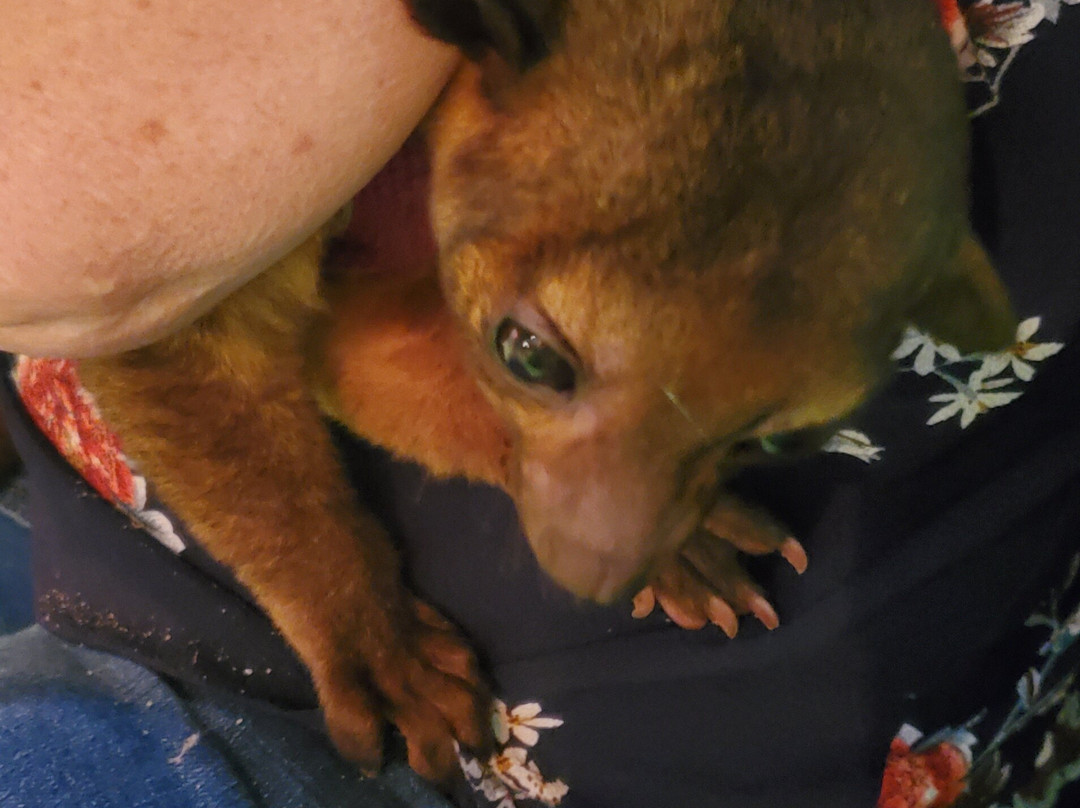 SeaQuest Fort Worth-沃思堡必去景点