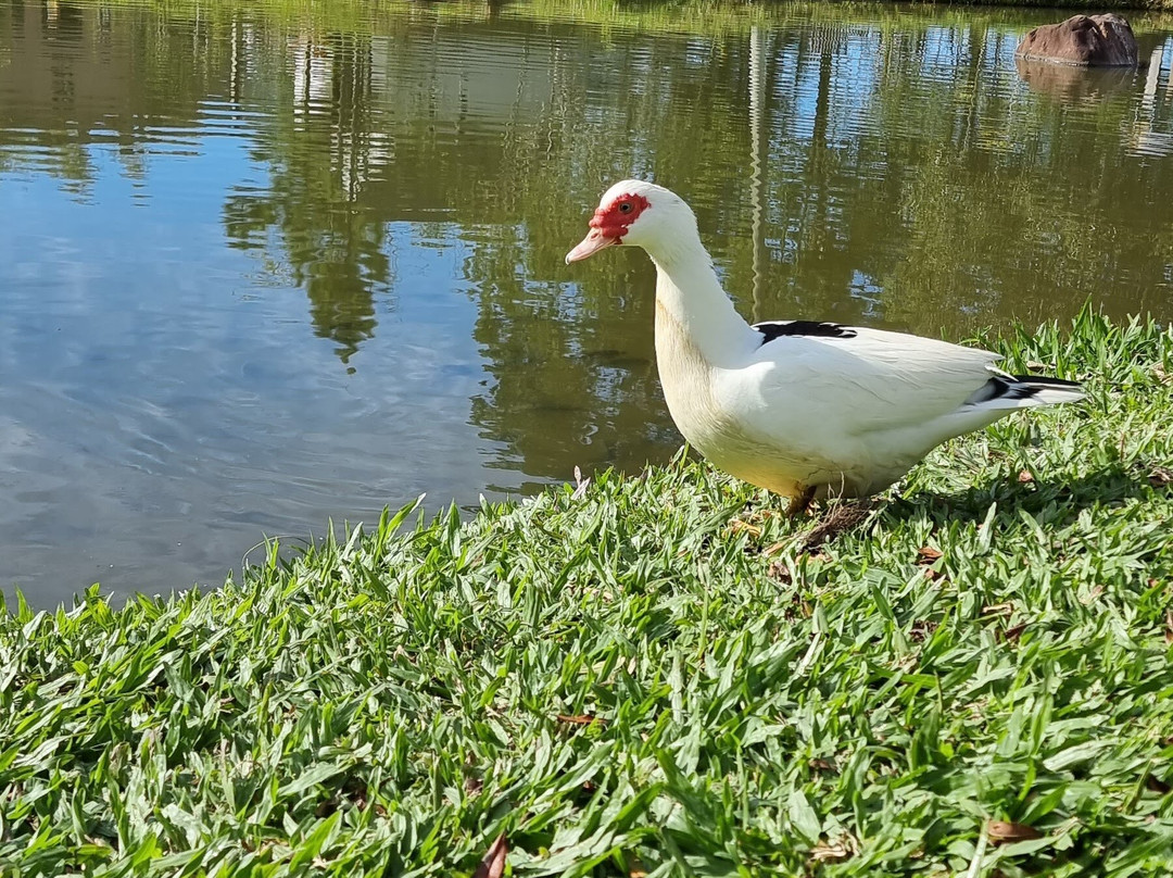 Pousada Pouso Das Águias主图