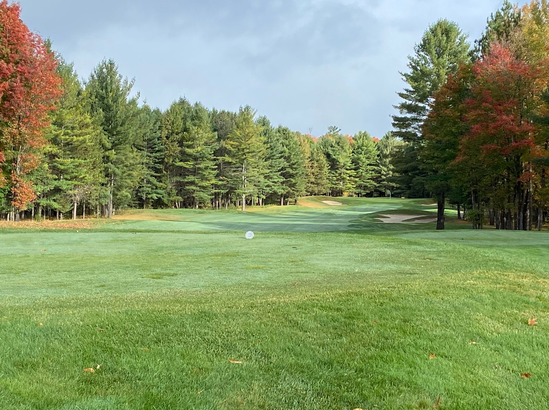Black Lake Golf Club景点图片