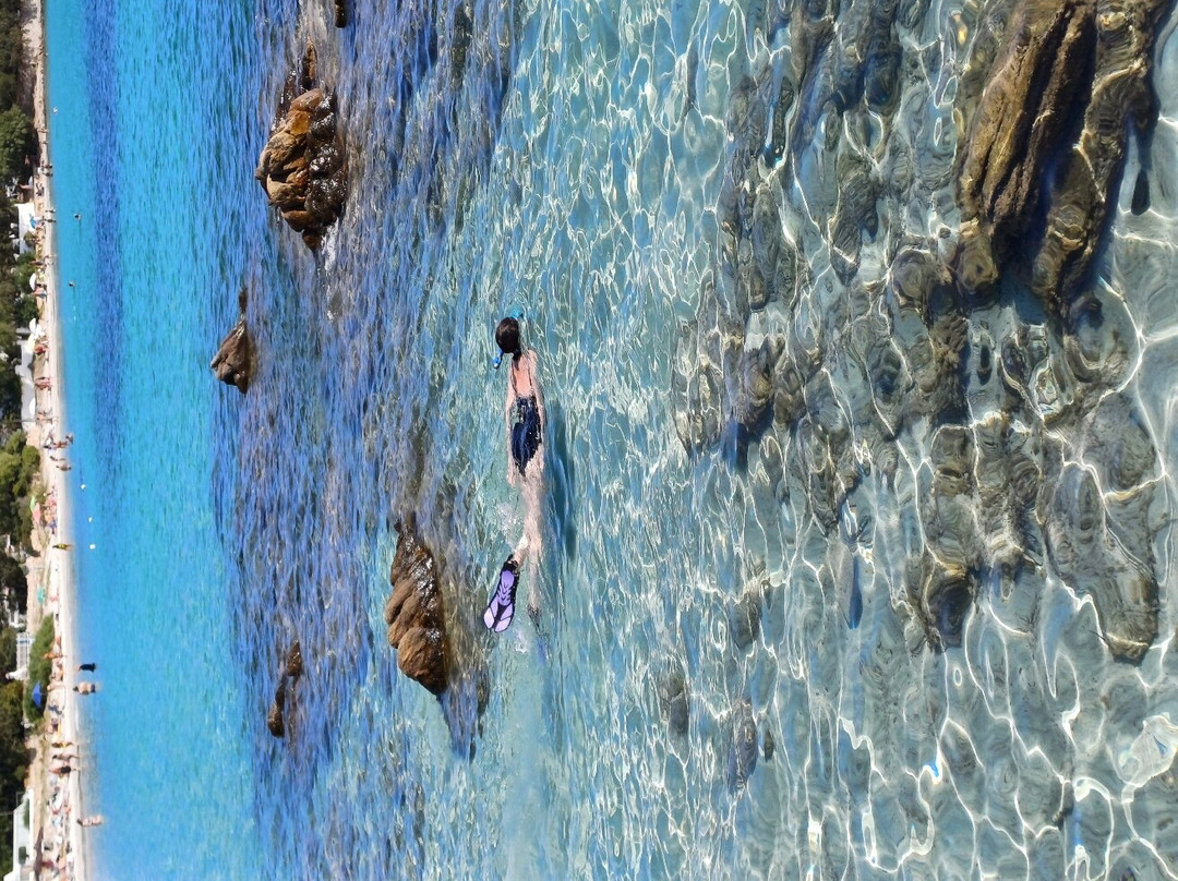 Bed e Breakfast Antica Isola主图