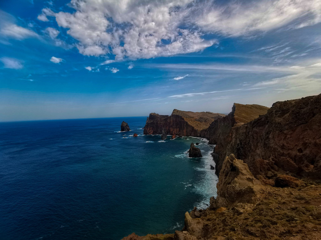 Nature Connection Tours