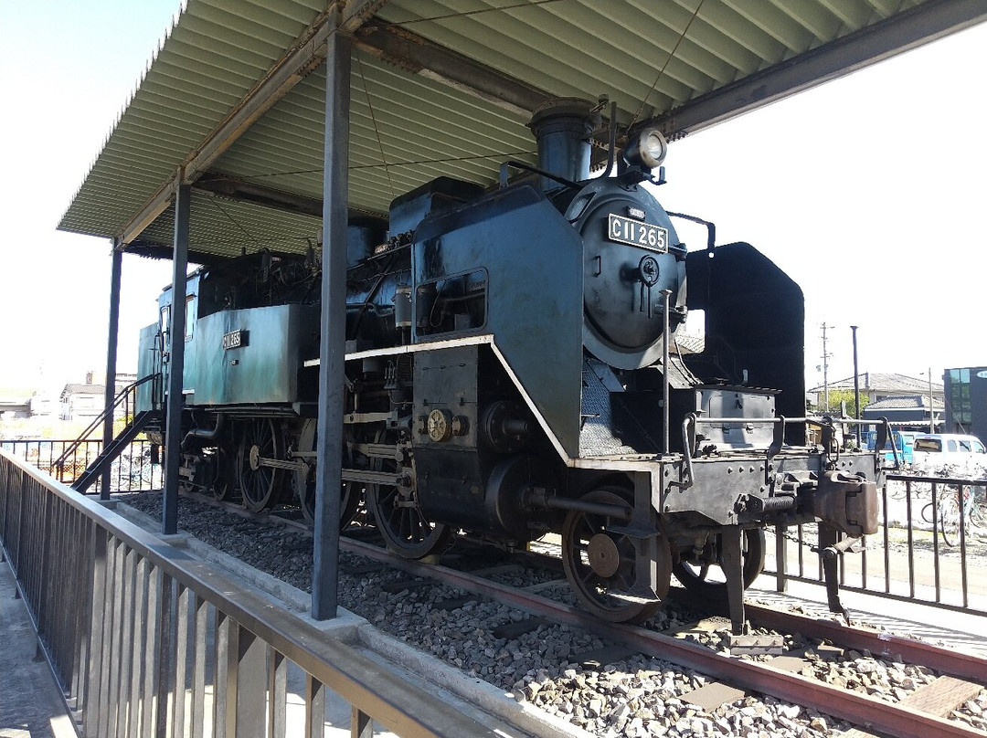 C11 265 Steam Locomotive-半田市必去景点