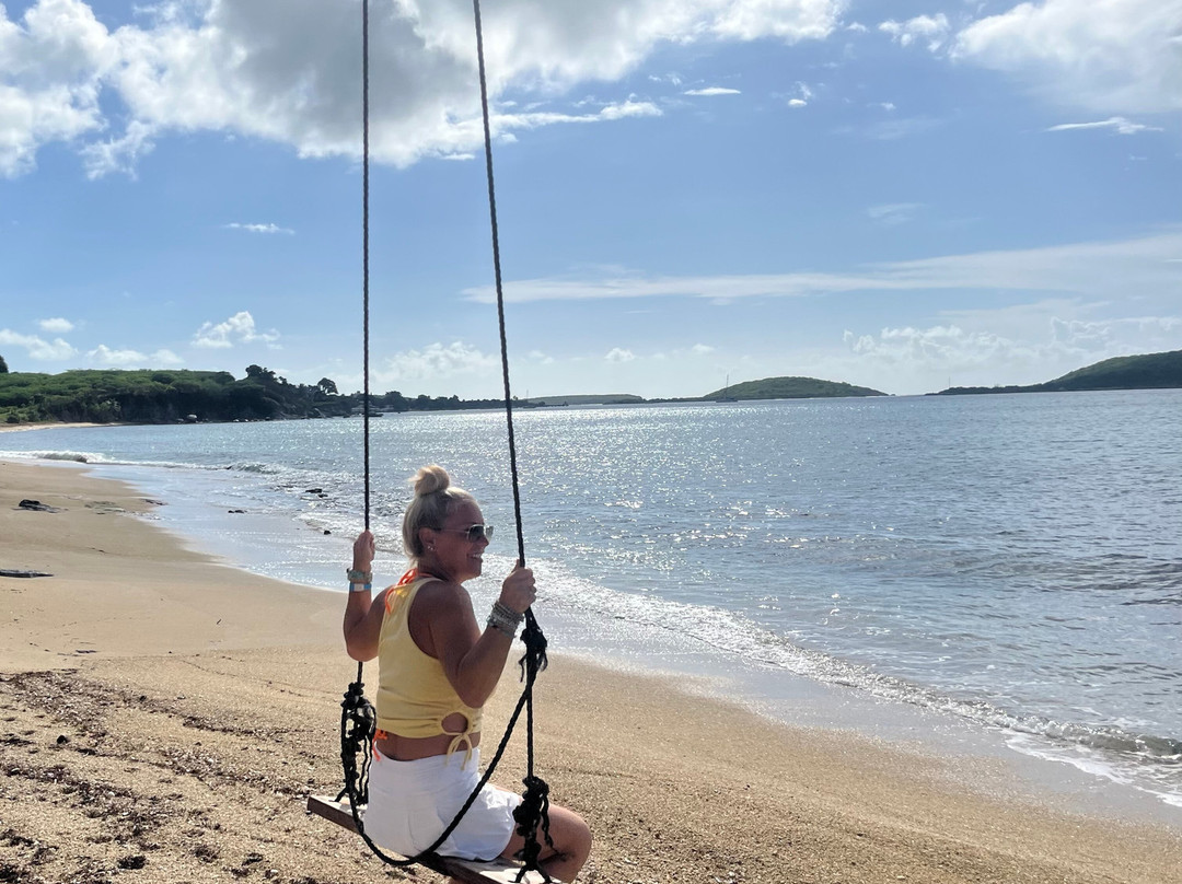 The Vieques Guesthouse主图