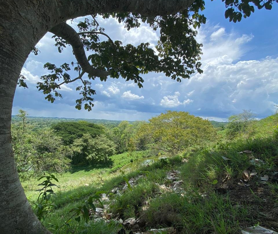 Fundación Loros - Aventura y Conservación