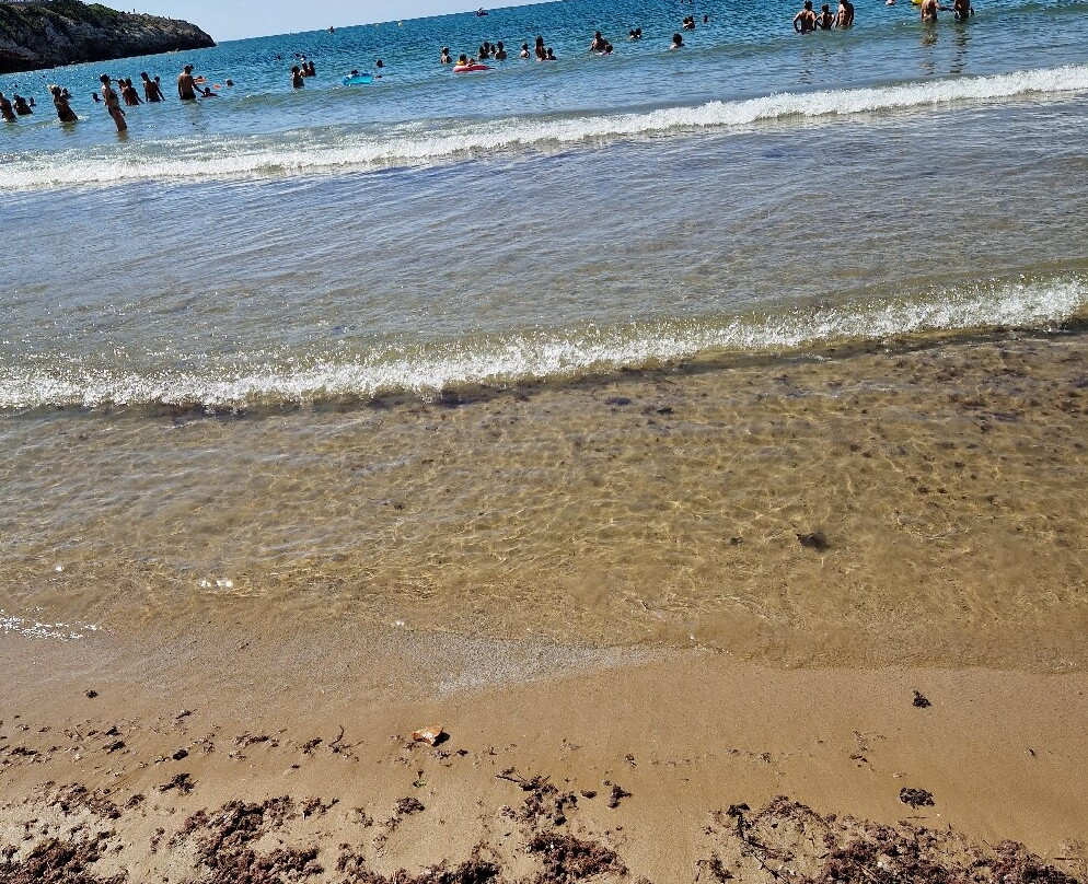 Platja dels Capellans景点图片