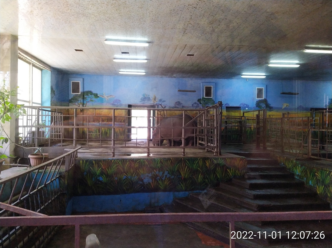 Nikolaev Zoo-Mykolaiv必去景点