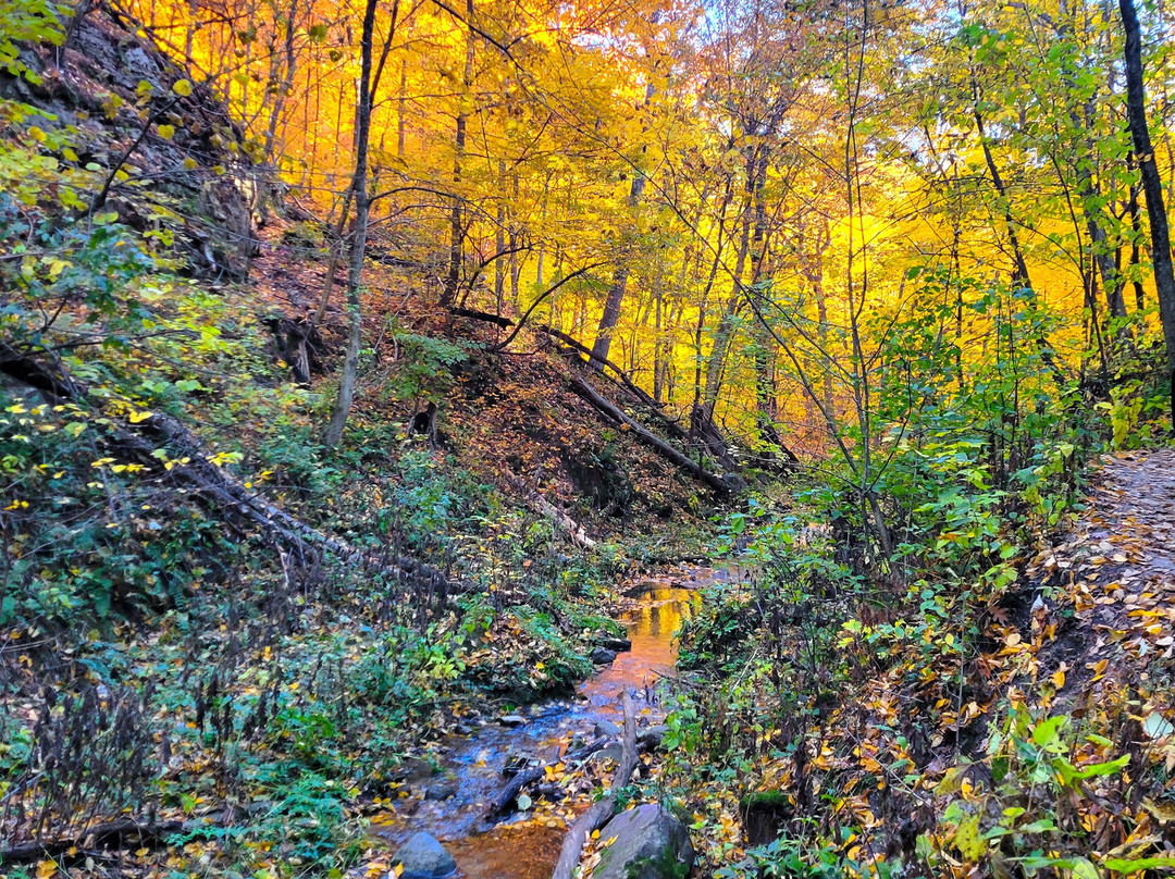 Parfrey's Glen-巴拉布必去景点
