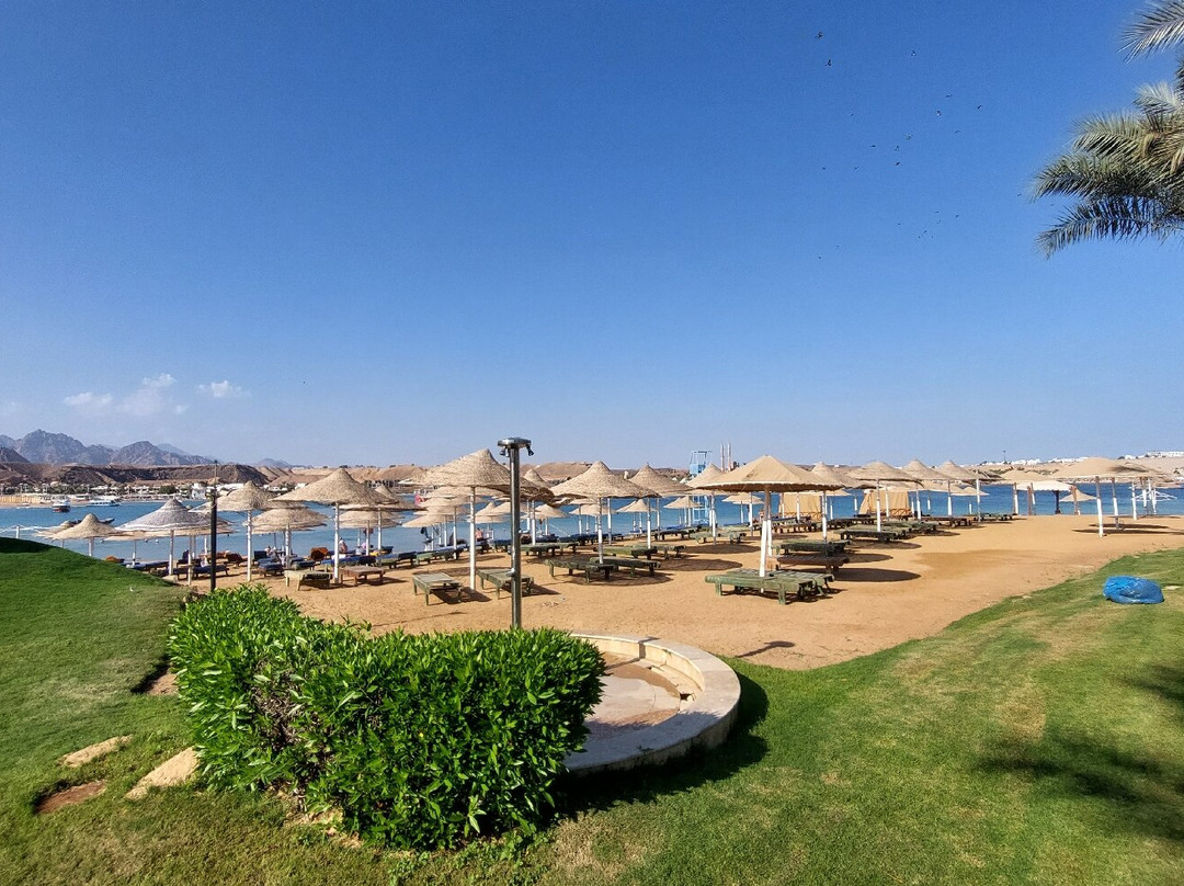 Xperience Golden Sandy Beach主图